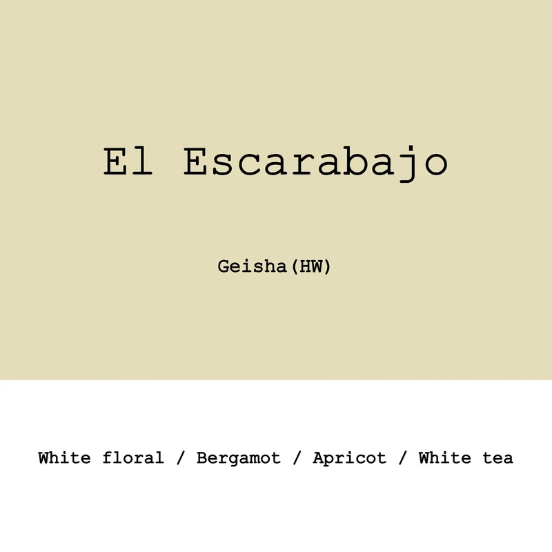 El Escarabajo Geisha Hybrid washed- Colombia, Gout and Co | 100g