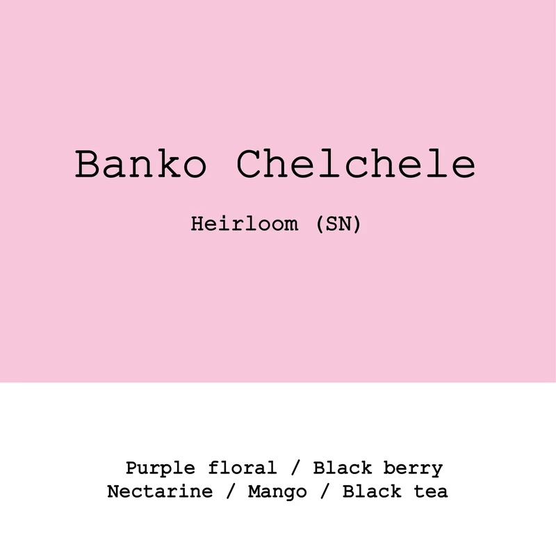 Banko Chelchele natural - Ethiopia, Gout and Co | 250g