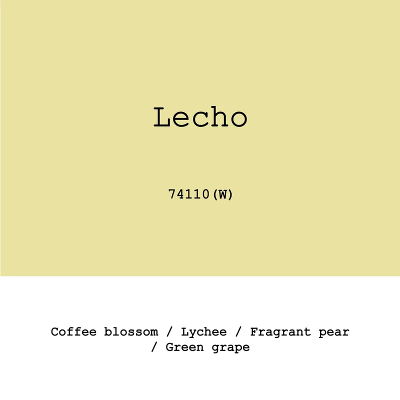 Lecho 74110 washed - Ethiopia, Gout and Co | 250g