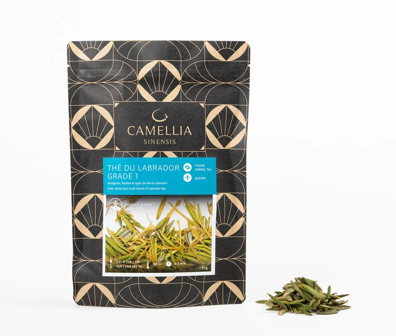 Camellia Sinensis Labrador Tea