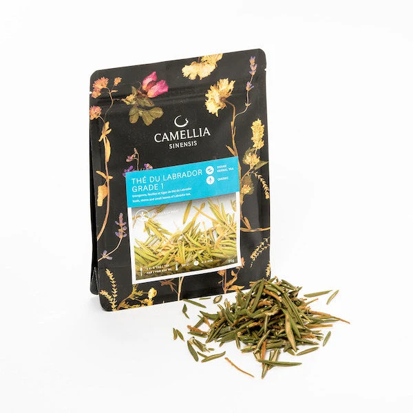 Labrador Tea