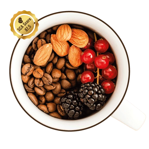 #6 fruchtiger Single Origin aus Kolumbien