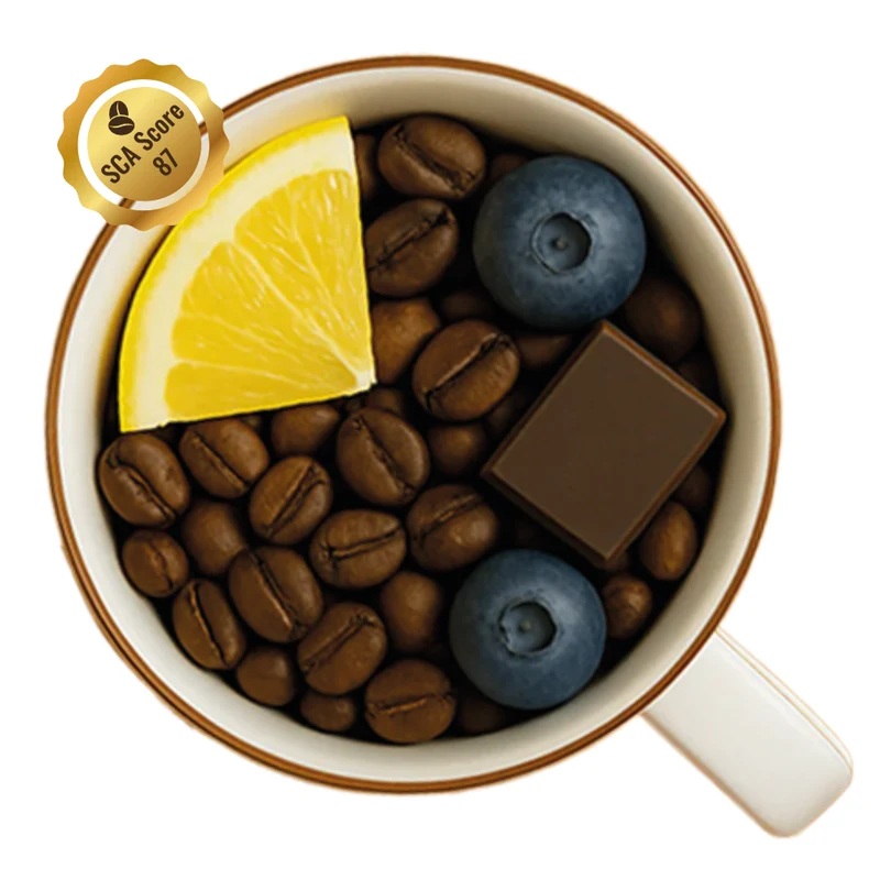 #León schokoladig-beeriger Kaffee aus Costa Rica