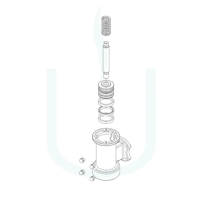 Bezzera Strega Lippendichtung Set