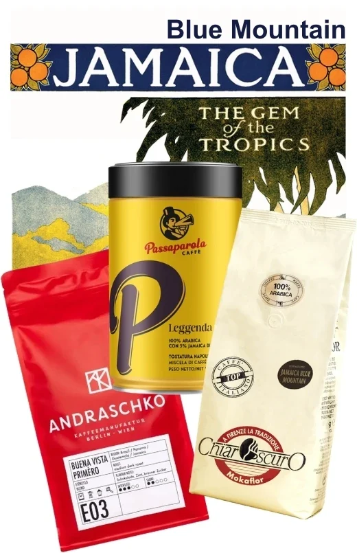 Espresso Probierset mit Jamaica Blue Mountain